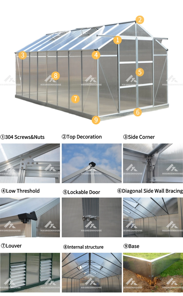 Home Agricultural Green House Hx65120-1 Series Mini Plastic Polycarbonate Film Garden Greenhouse