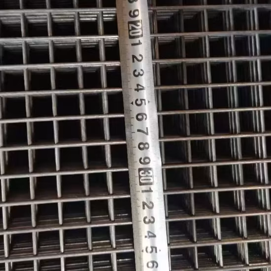 Pannello in rete metallica saldata in acciaio inossidabile con rete metallica in ferro nero