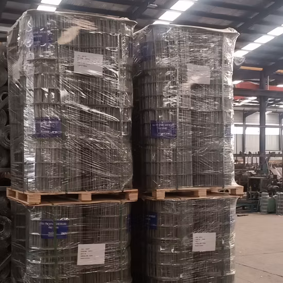 Rete metallica per recinzione con pannello a griglia in ferro saldato zincato a caldo da 2X2 pollici