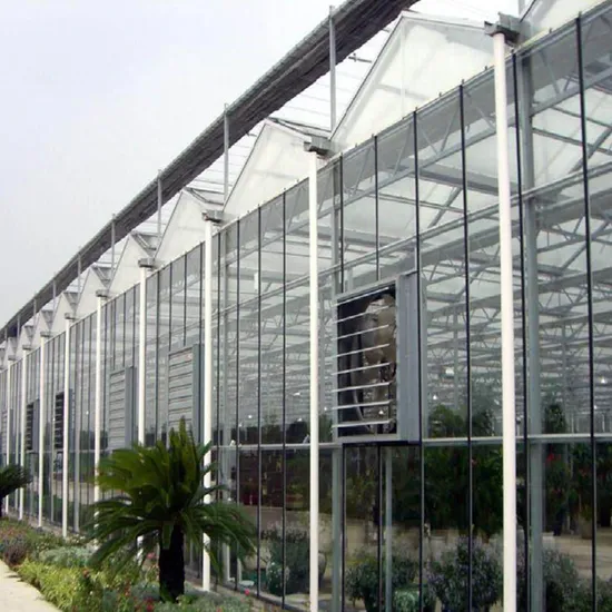 Serra in film plastico serie Xinhe per Garden House